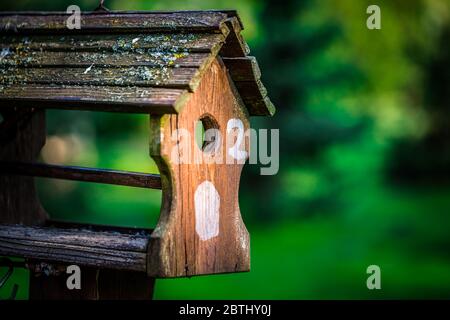 Photo of a bird feeder standing on a fruit tree in a garden Stock Photo
