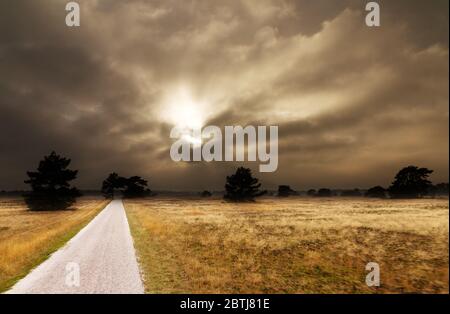 Dark skies over National park De hoge Veluwe in the Netherlands in autumn Stock Photo
