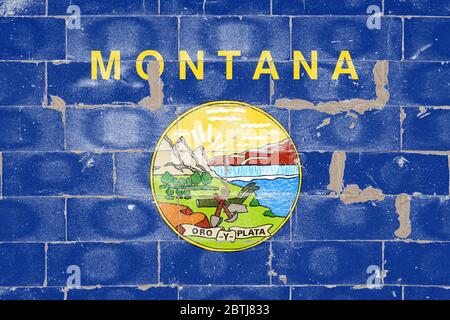 The national flag of the United States of Montana is blue, in the center there is a seal with a plow, spade and pickaxe lying on the shore in front of Stock Photo