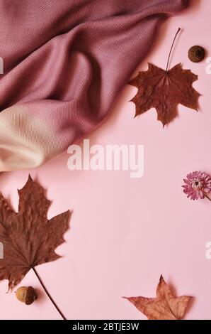 Autumn composition. Autumn leaves and scarf on pink background. Flat lay, top view. Stock Photo