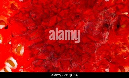 Macro image of crushed and squeezed red raspberry. Berry jam or smoothie. Abstract background of berries and fruits. Stock Photo