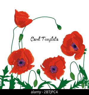 Square card template with hand drawn colorful crocus flowers. Vector illustration Stock Vector
