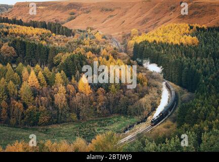 A steam train pictured running on the North Yorkshire Moors Railway (close to Pickering) through some very autumnal postcard picture scenes Stock Photo