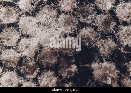 dirty computer case.Dust layer on the system unit.Time to clean your computer from home dust.dust is the killer of electrical engineering Stock Photo