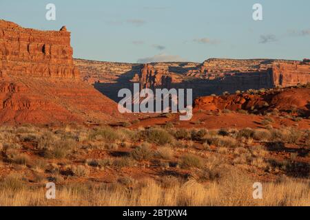 UT00688-00...UTAH Morning light brightening the sandstone an prairie vegetation in the Valley of the Gods. Stock Photo