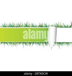 tearing paper and grass vector illustration on a white background Stock Vector