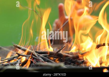 Firewood burning in flames and child hand behind on green background Stock Photo
