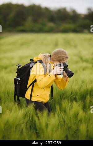 Female photographer taking photos of wheat ears Stock Photo