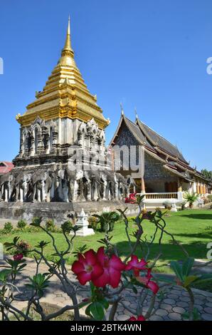 Lots of elephants are sitting around the old chedi of Wat Chiang Man in Chiang Mai Stock Photo
