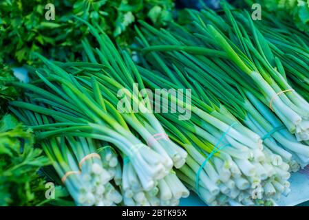 green onion with chives on display closeup green onion texture. Raw greens, vitamin salad. Healthy nutrition, diet food. Stock Photo