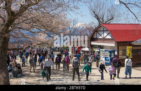 asia, beauty, blossom, cherry blossom, climbing, editorial, hachioji, hiking, hiking mountain, japan, japanese, kumamoto, landscape, mount, mount fuji Stock Photo