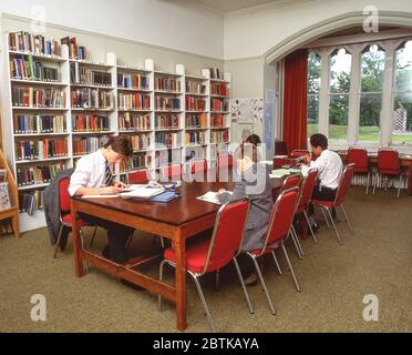 School boys studying in school library, Surrey, England, United Kingdom Stock Photo