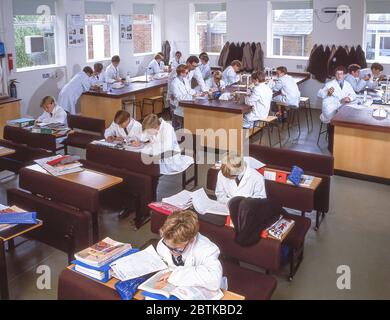Teacher and students in science class, Surrey, England, United Kingdom Stock Photo