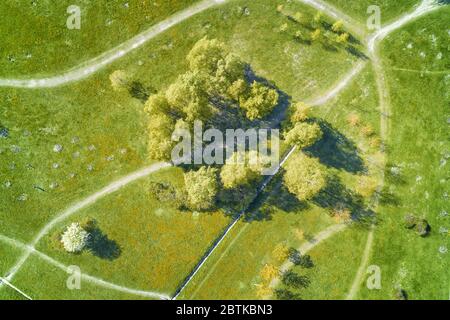 Trees and paths in the summer park top aerial view Stock Photo