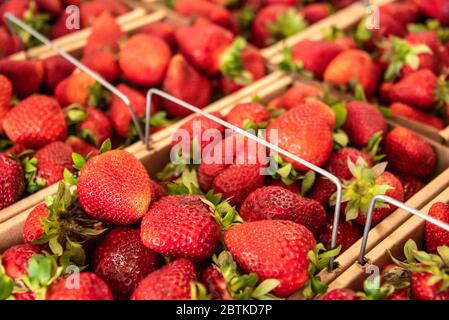 Fresh picked strawberries at a North Georgia farm roadside fruit and vegetable market. (USA) Stock Photo