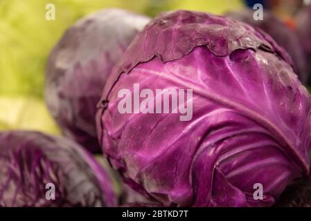 Red and green cabbage at a roadside fresh fruit and vegetable market in Northeast Georgia. (USA) Stock Photo