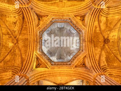 BARCELONA, SPAIN - MARCH 4, 2020: The  ceiling and cupola of The Cathedral of the Holy Cross and Saint Eulalia.
