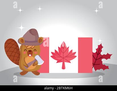 Beaver with canadian flag design, Happy canada day holiday and national theme Vector illustration Stock Vector