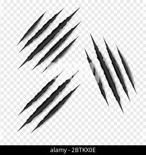Set illustration of Claws scratches isolated on transparent white background. Creative paper craft,cut style.Scary laceration danger paper surface Cla Stock Vector