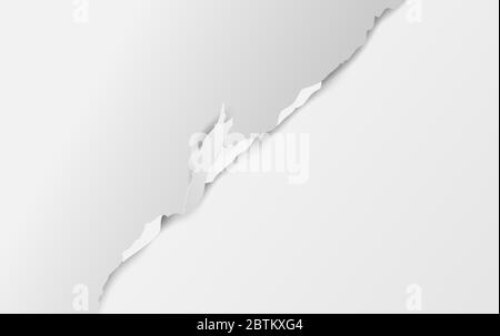 torn paper white background.Ripped and paper strips with soft light shadow on squared wall.Creative design paper craft and cut style.Vector template.c Stock Vector