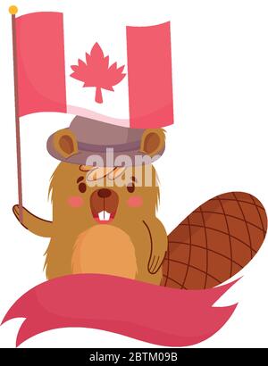 Beaver with canadian flag design, Happy canada day holiday and national theme Vector illustration Stock Vector