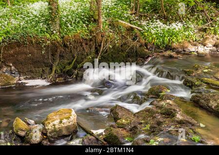 Small waterfall on the River Alyn at Maeshafn, North wales Stock Photo