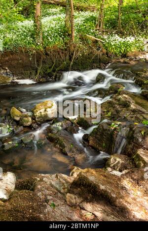 Small waterfall on the River Alyn at Maeshafn, North wales Stock Photo