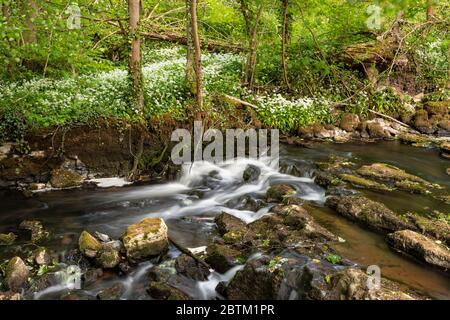 Small waterfall on the River Alyn at Maeshafn, North wales Stock Photo
