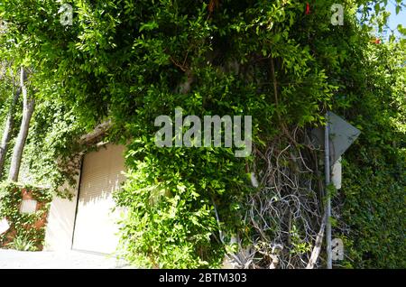 Los Angeles, California, USA 26th May 2020 A general view of atmosphere of Dorothy Lamour's former home at 1375 N.  Doheny Drive on May 26, 2020 in Los Angeles, California, USA. Photo by Barry King/Alamy Stock Photo Stock Photo