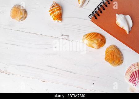 Brown open notepad surrounded by sea shells on white wooden table closeup Stock Photo