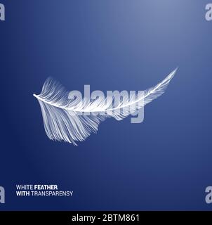White fluffy feather, vector isolated realistic quill on blue background. Goose or swan bird feather symbol with detailed plumage texture, decoration element, softness symbol, concept design Stock Vector