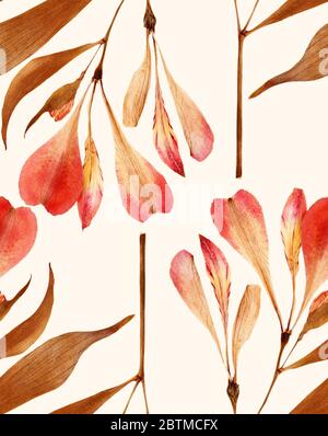 Red alstremeria dry delicate flowers and petals pressed pattern Stock Photo