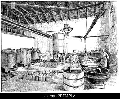 https://l450v.alamy.com/450v/2btmf9m/packing-room-of-the-liebig-company-for-fray-bentos-canned-meat-illustration-of-the-19th-century-white-background-2btmf9m.jpg
