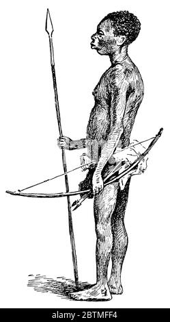 The Aka or Bayaka are a nomadic Mbenga pygmy people. Illustration of the 19th century. White background. Stock Photo