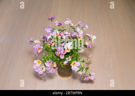 A flower arrangement of pastel coloured violas in a glass pot against a light brown wooden tabletop background Stock Photo