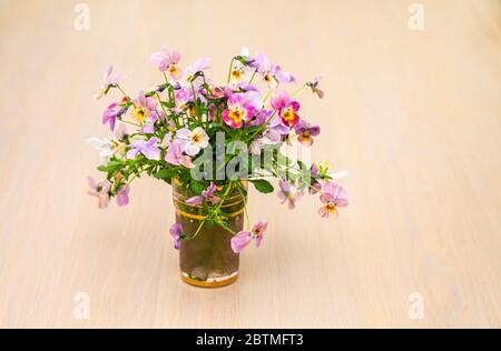 A flower arrangement of pastel coloured violas in a glass pot against a light brown wooden tabletop background Stock Photo