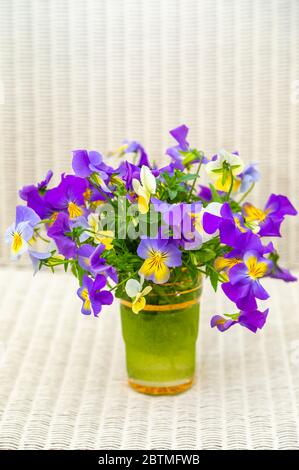 A flower arrangement of purple and yellow coloured violas in a green glass pot against a light woven wicker background Stock Photo