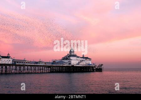 Eastbourne Pier East Sussex Stock Photo