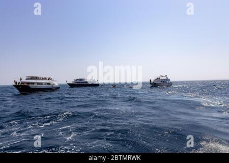 Hurghada, Egypt - september 17, 2019: Unknown people on white yacht watching dolphins in the Red sea, Jaz 'ir Jift n Stock Photo