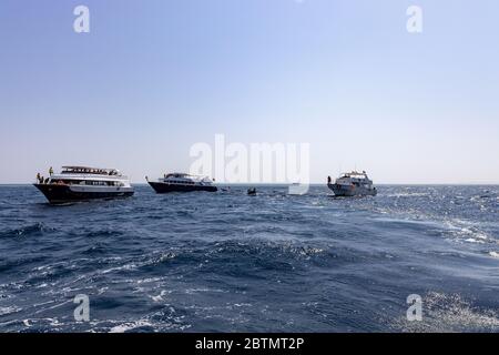 Hurghada, Egypt - september 17, 2019: Unknown people on white yacht watching dolphins in the Red sea, Jaz 'ir Jift n Stock Photo