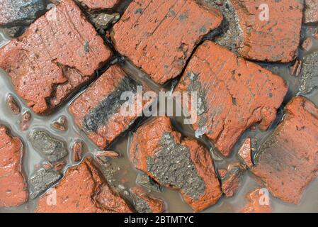 Top view of dirt red bricks texture background. Bricks, dirt water and ground Stock Photo