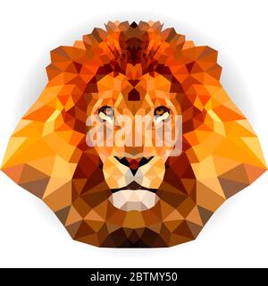 Geometric polygon lion head in triangle style, vector Stock Vector
