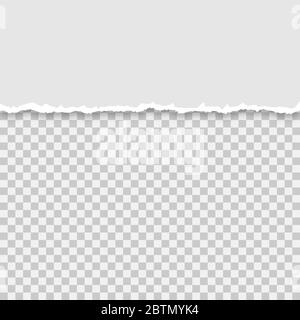 Torn a half sheet of grey paper on a isolated background, vector illustration Stock Vector