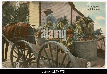 Postcard of a banana and pineapple vendor. Postcard of a tinted black and white photograph of a cart carrying bananas and pineapples. The cart is diagonally oriented away from the viewer with the back closest to the camera. On the right side of the image is the hindquarters of a horse. Stock Photo