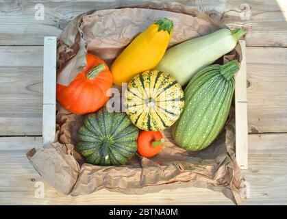 Box with fresh pumpkins and squash vegetables harvest on wooden background. Top view Stock Photo