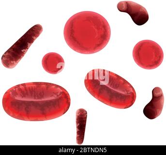 blood particles fluid medical icons Stock Vector
