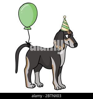 Cute cartoon saluki puppy with party hat vector clipart. Pedigree kennel dog breed for dog lovers. Purebred domestic for celebration illustration Stock Vector