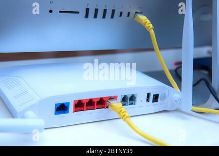 LAN network cable connected to the computer port Network technology  concept Stock Photo