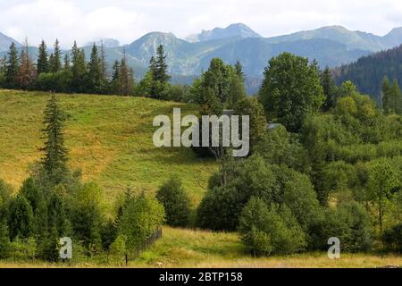 Wooded land and meadows in the area of the town of Zakopane are seen against the background of the wonderful mountains of the Tatra Mountains. Stock Photo