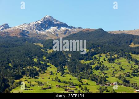 The snow-capped peak of the rocky mountain dominates over the beautiful green valley partially covered with forest and residential buildings located t Stock Photo